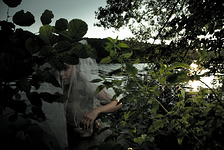Dreamwalkers * Water