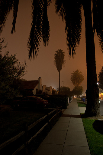 LA Night
